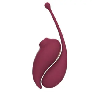 Adrien Lastic Inspiration Clitoral Suction Stimulator and Vibrating Egg couples sex toy