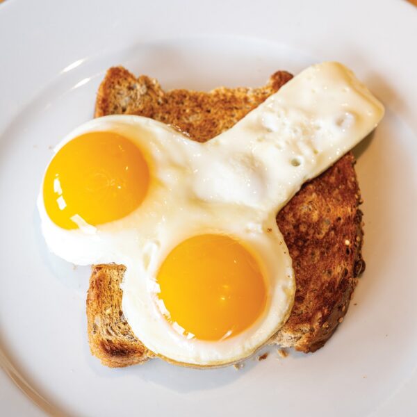 Willie Egg Fryer - Image 4